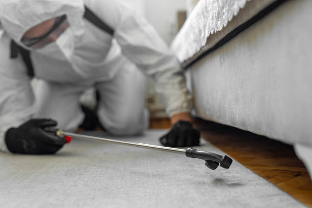 Professional Bed Bug Control technician working in Clallam County County, WA